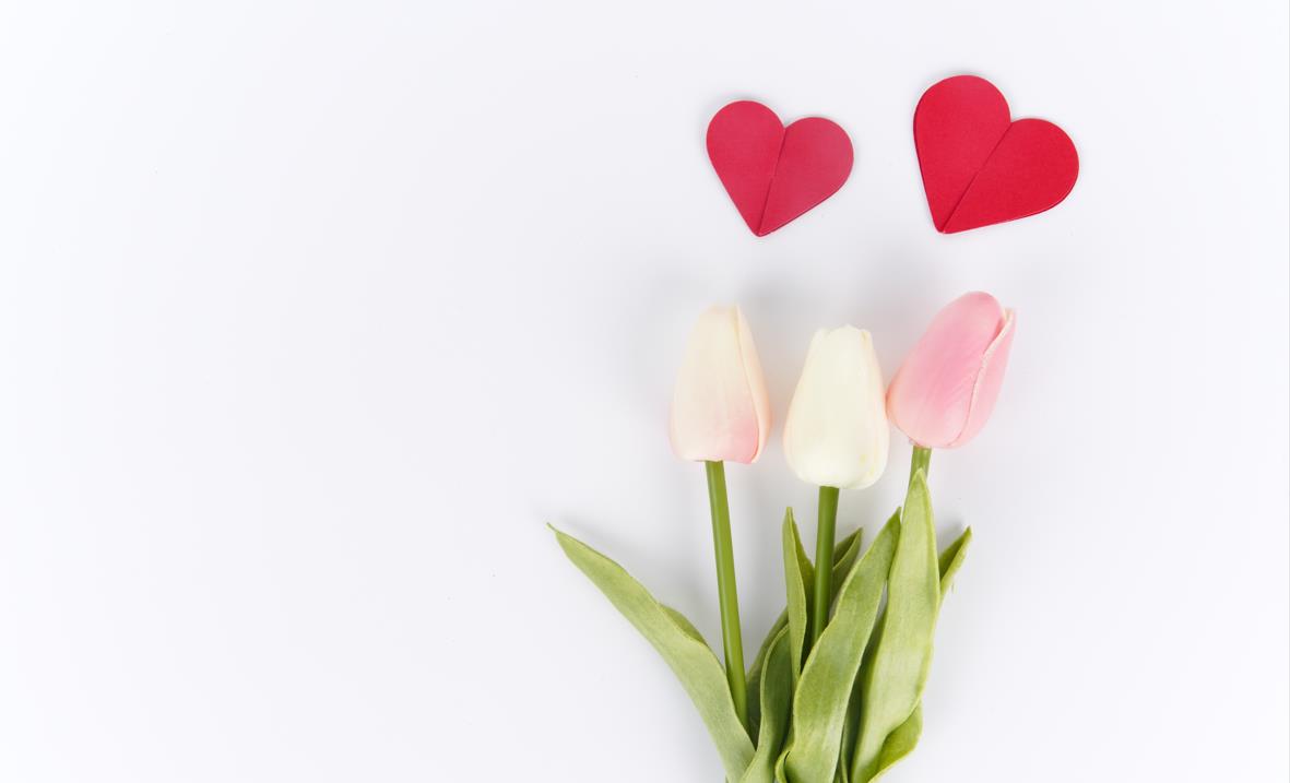 2024 Hebei Province Flower Arrangement Exhibition was held