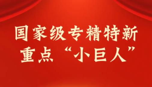 Zhuoshi Technology was awarded the title of National Key "Little Giant" Enterprise